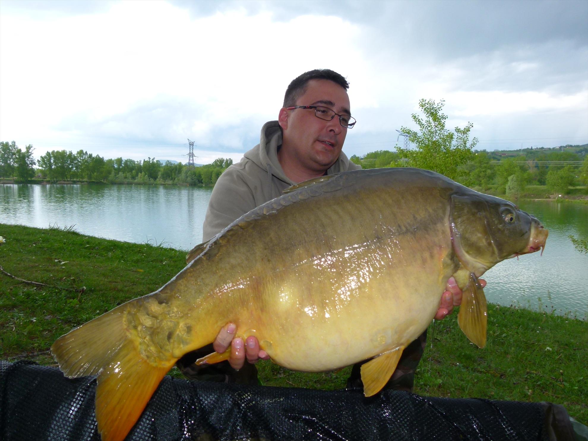 THE BIGS OF 2012 - p1000010.JPG